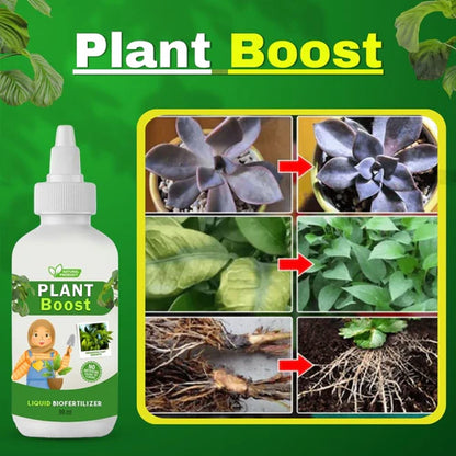 BLOSSAM BURST MIXED FLOWER SEEDS