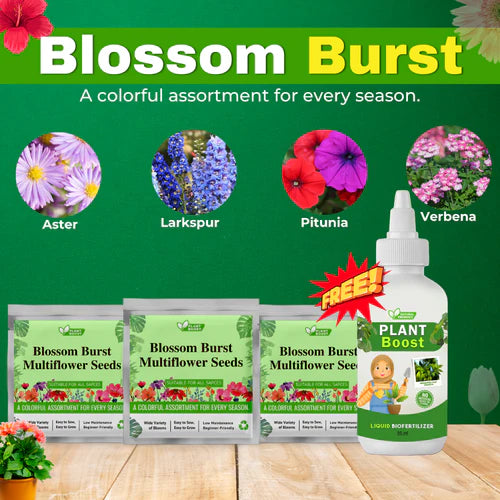 BLOSSAM BURST MIXED FLOWER SEEDS